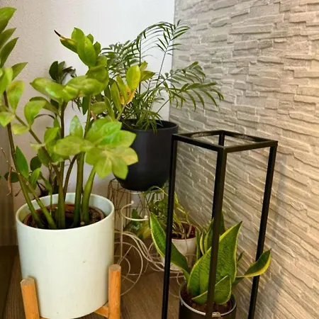 Appartement Fabo In Dalmatien By Interhome *